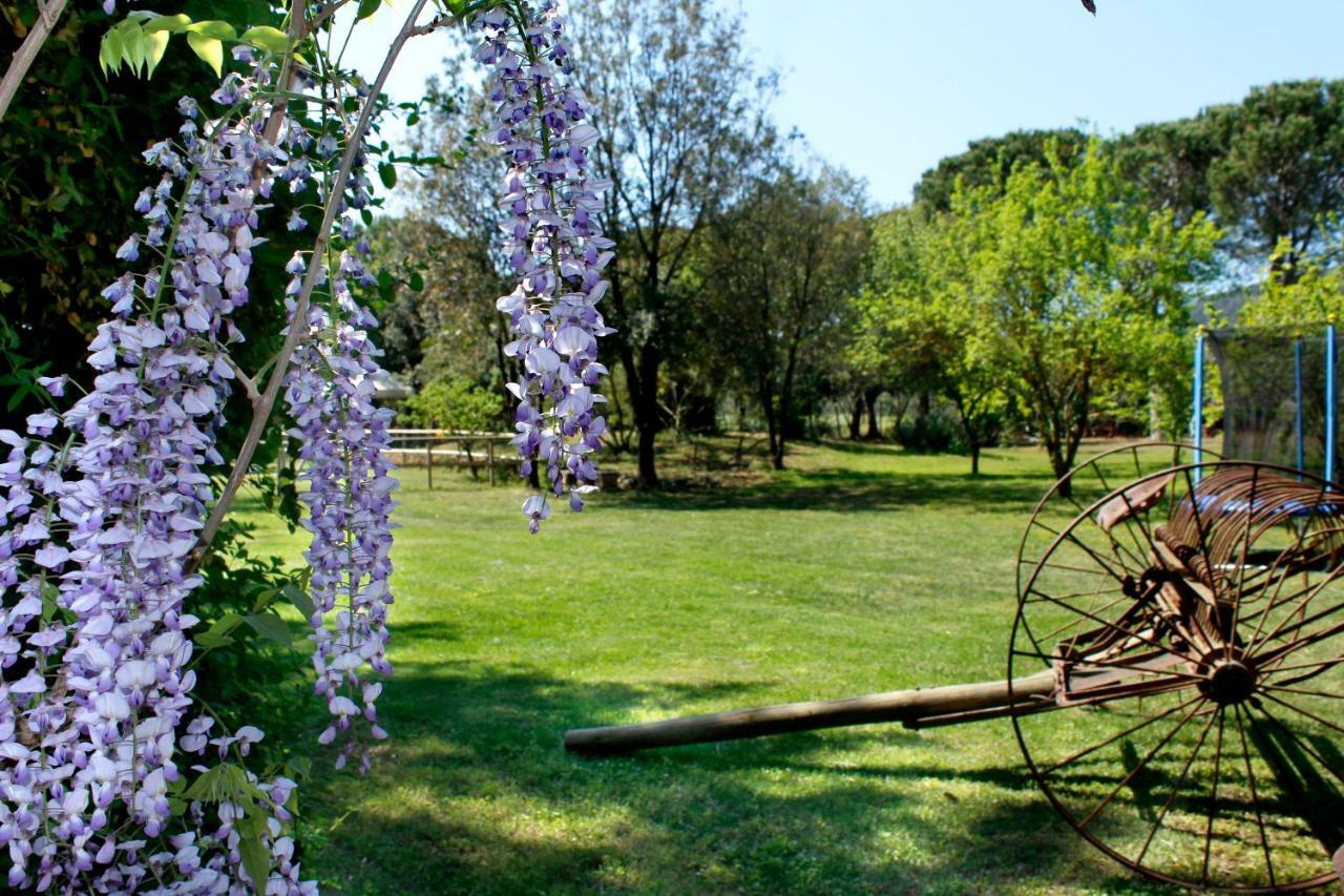 Agriturist Prile Villa Кастильоне дела Пеская Екстериор снимка