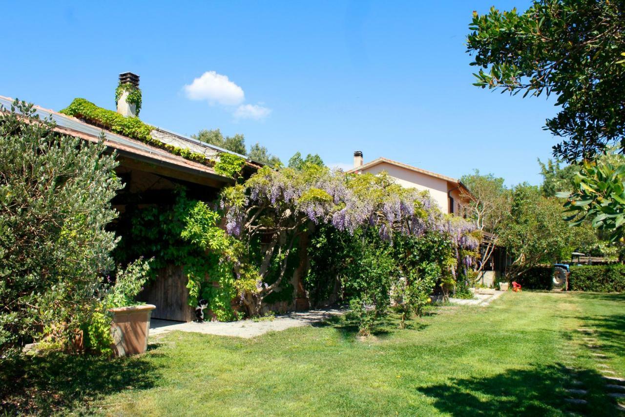 Agriturist Prile Villa Кастильоне дела Пеская Екстериор снимка